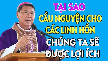 TẠI SAO KHI CẦU NGUYỆN CHO CÁC LINH HỒN THÌ CHÚNG TA SẼ ĐƯỢC LỢI ÍCH . ĐỨC CHA KHẢM GIẢNG MỚI NHẤT