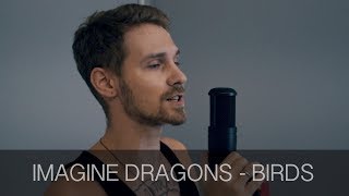 Imagine Dragons - Birds [Alex Orlov Cover] Resimi