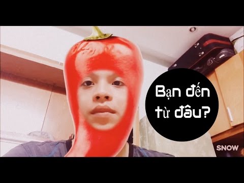 học tiếng pháp bắt đầu từ đâu tại kienthuccuatoi.com