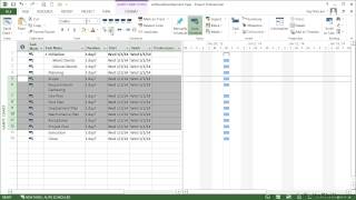 Microsoft Project for Software Developers Tutorial | Adding The Phase And Section Headings screenshot 3