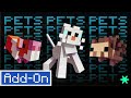 ✨Probando los addons gratuitos de la Marketplace de Minecraft Bedrock (Spark Pets) 🐶