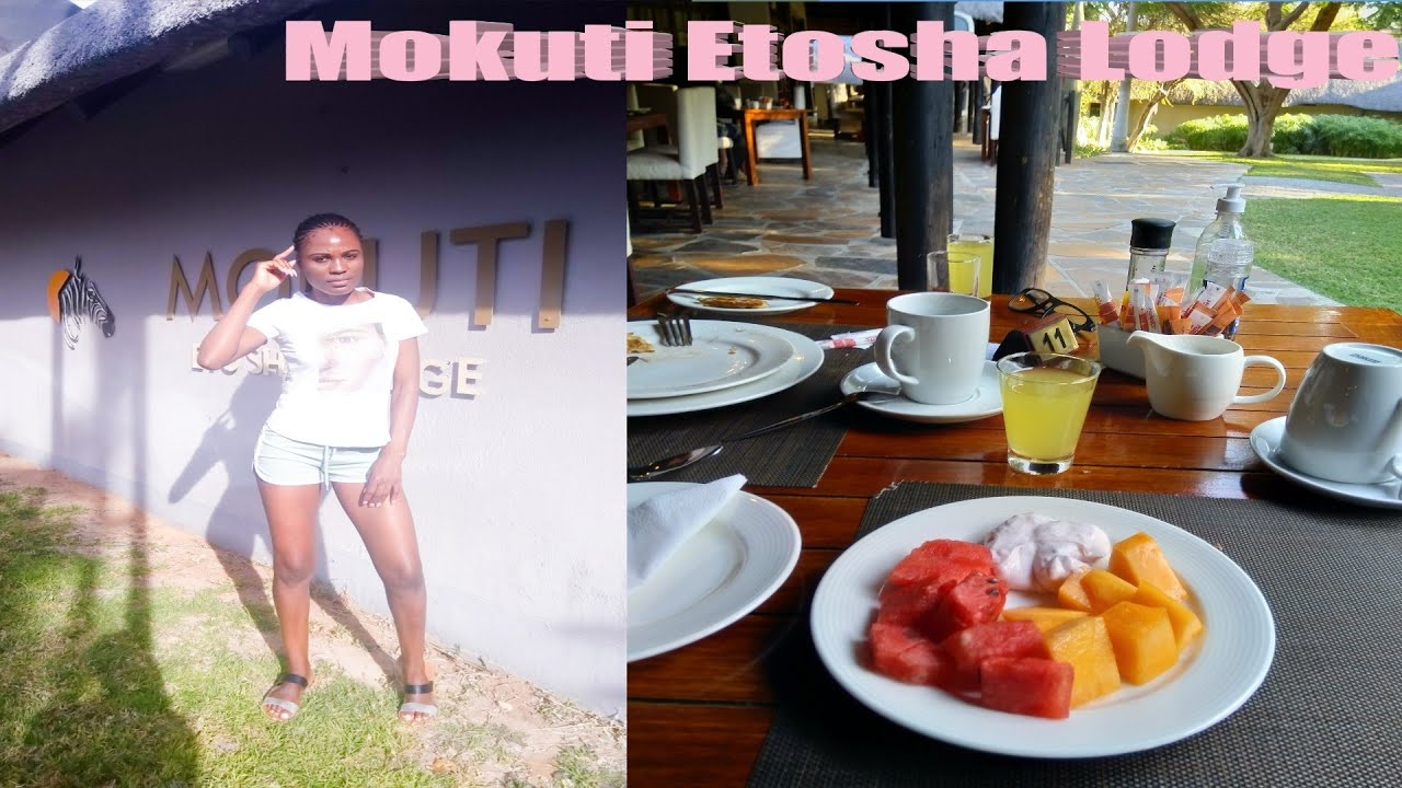 Luxurious Mokuti lodge, Reptile Park and self game drive in Etosha National Park