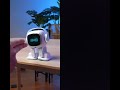 EMO Robot