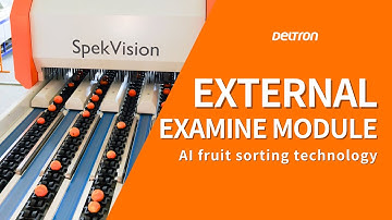 SpekVision: AI fruit sorting technology from Deltron