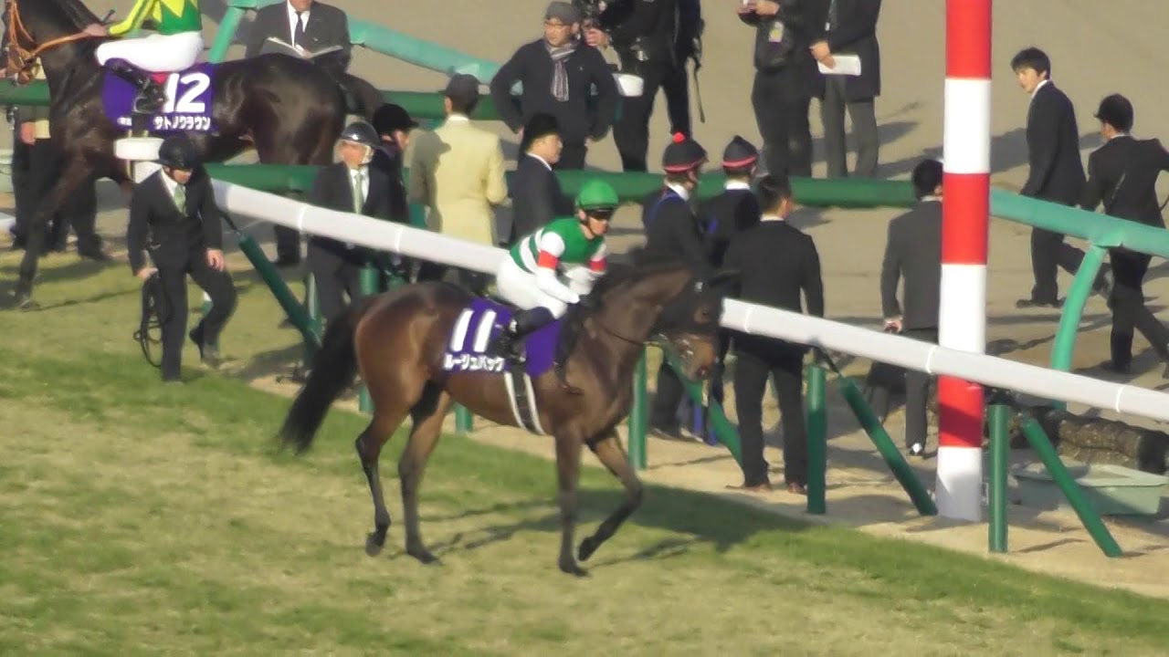 2017 第62回 有馬記念GⅠ 本馬場入場 現地映像 キタサンブラック - YouTube