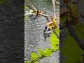 #ducks🦆#enten🪿#herbst🍁#autumn🌿#oktober🕊️#water 💦#erde🌐#planet🌍#schicksal🪅#weltfrieden🙏☮️🕊️