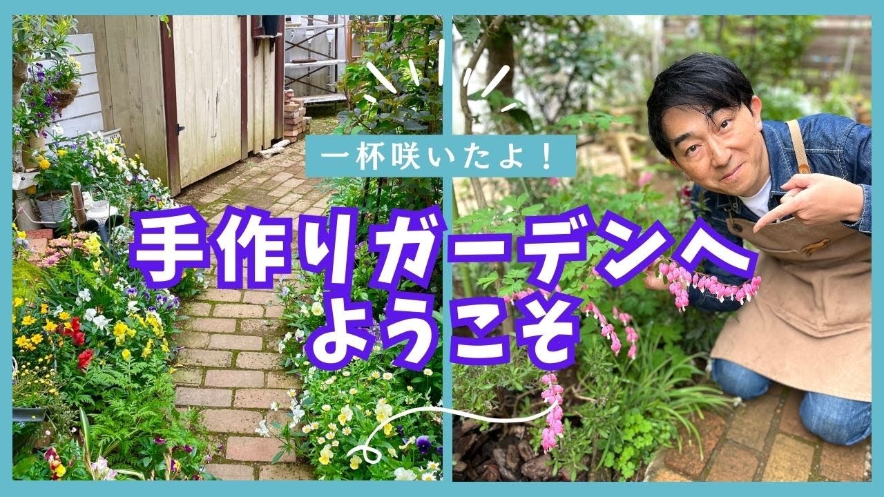【小花溢れるガーデンツアー】小花一杯のガーデンをカメラ片手にぐるっと回りながら花々やお勧めの宿根草をご紹介します。#gardening #ガーデニング #flowers #園芸