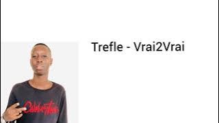 Trefle - Vrai2Vrai (Lyrics Video)