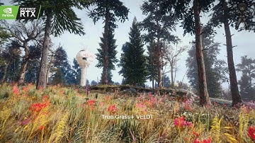Fallout 4 True Grass + VELDT Showcase