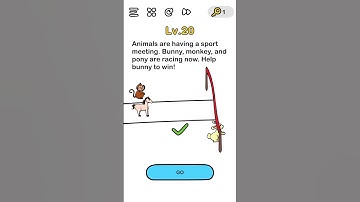 Brain Out Level 20 Animals are having a sport meeting. Bunny, monkey, and pony are racing now Answer