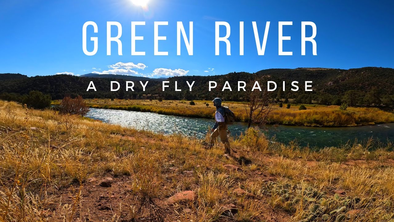 A Dry Fly Fishing PARADISE Green RiverPart 3 YouTube