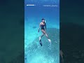 Deep Dive Xtasy Endorphin ฟินคาร์บอนแรงดี น้ำหนักเบา พาคุณทะยานสู่โลกใต้น้ำได้อย่างไร้ขีดจำกัด!
