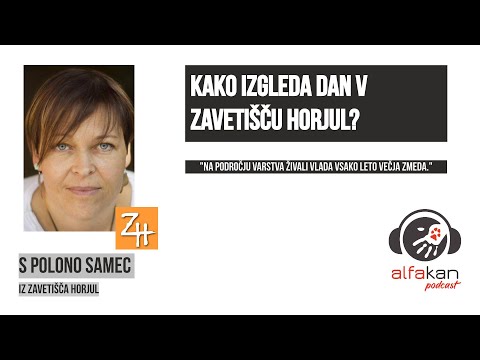 Video: Kako Prepoznati Psa V Zavetišču