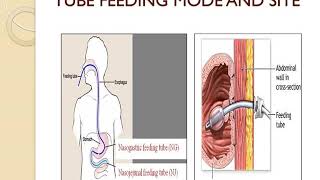 Basic concepts of diet therapy screenshot 3