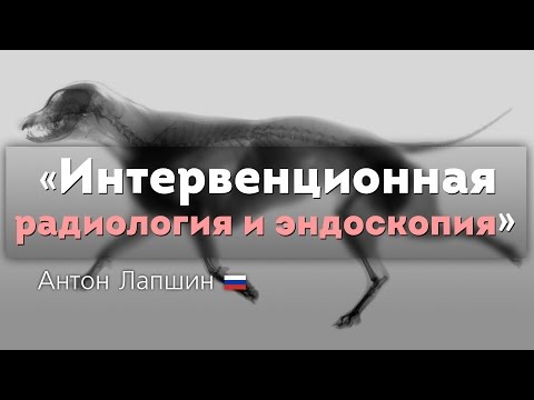 Интервенционная радиология и эндоскопия