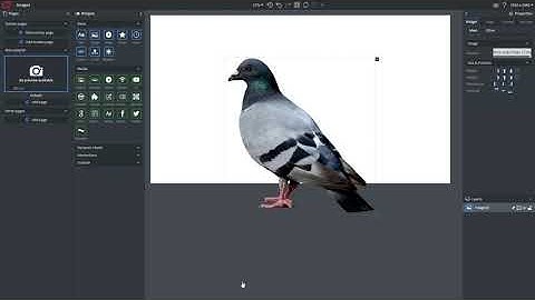 Wallboard Tutorial: Image Editing and Animation