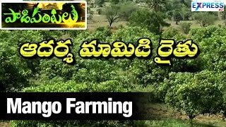 Success Story of Mango Farming | ExpressTV