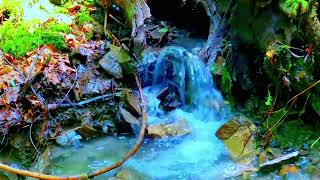 Ultimate Relaxation: Mesmerizing Dripping Water Sounds | Soothing Waterfall Ambience