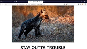 CheerMeApp, my CS50x Final Project