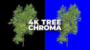 Animated Tree 4K UHD 🌳 | Blue Screen / Chroma | Free Stock Footage