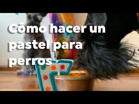 Video: 5 extremidades favorables al pie que ahorrarán las patas de su perro atlético