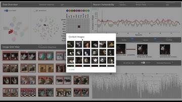 Visual Analytics of Neuron Vulnerability to Adversarial Attacks on Convolutional Neural Networks