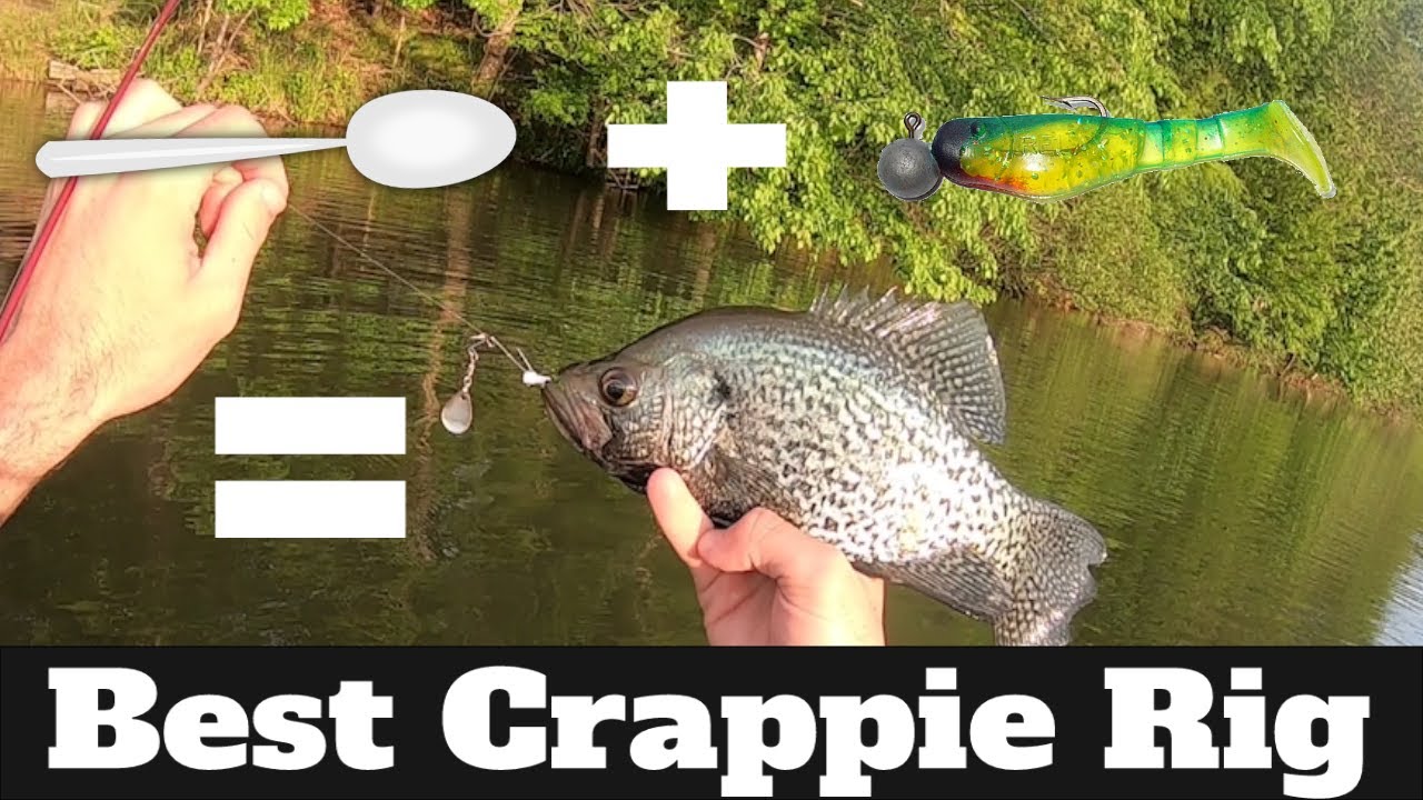 Crappie Fishing Secrets 2020: Best Crappie Fishing Lures & Rig