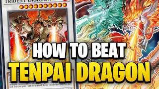 How to Beat Tenpai Dragon (In Depth Guide)