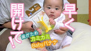 歯固めバナナ～！！吸うから噛むへ！！　低出生体重児の成長記録 low weight birth infant