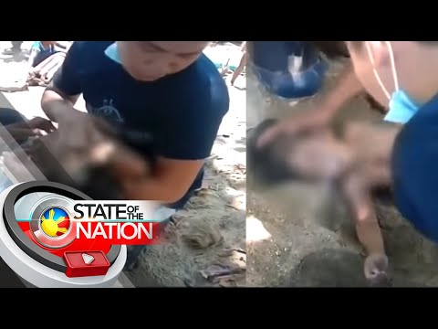 Video: Nalulunod (Malapit Malunod) Sa Cats