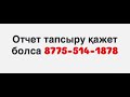910 отчет 2025жыл 1 полугодия #отчет #иппосфера #лайфхак