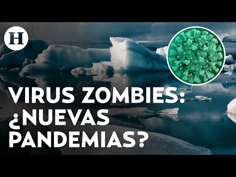 Vídeo: El pithovirus sibericum pot afectar els humans?