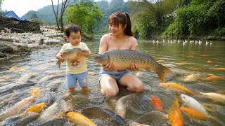 How to catch giant fish in the wild - Simple life on the farm of a single mother her young daughter