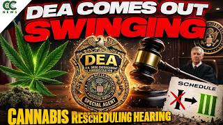 🚨 DEA Marijuana Rescheduling Hearings Begin Amid Fierce Debate