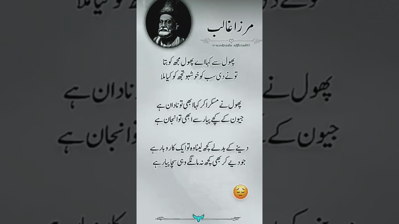 ​سچا پیار کیا ہے؟💕 مرزا غالب نے بتا دیا| Dil Chhoo Lene Wali Shayari