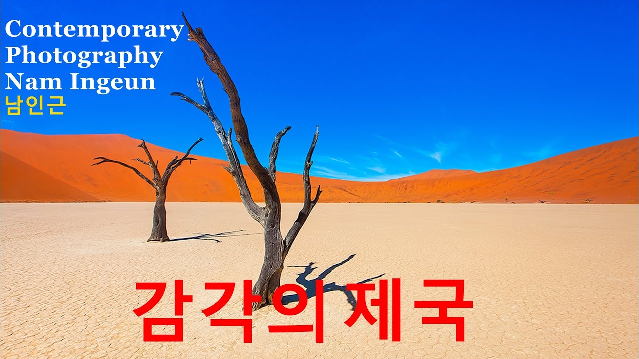 컨템퍼러리 포토 37-감각의 제국 남인근편