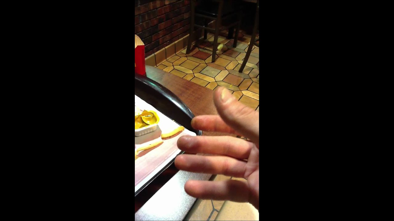 Circus of Dead Squirrels lip sync The Happy Meal Worm by Charles Hart