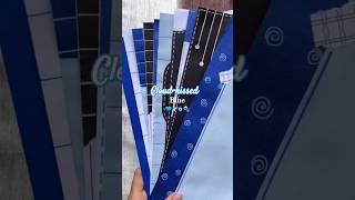 Decorated Project Sheets || Blue Theme ||#assignments #art #decoration #diy #cbse #projects #blue