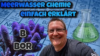 MeerwasserChemie einfach erklärt   ⭐B Bor⭐