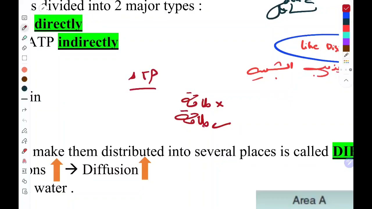 Quiz 1 : Cell Membrane 