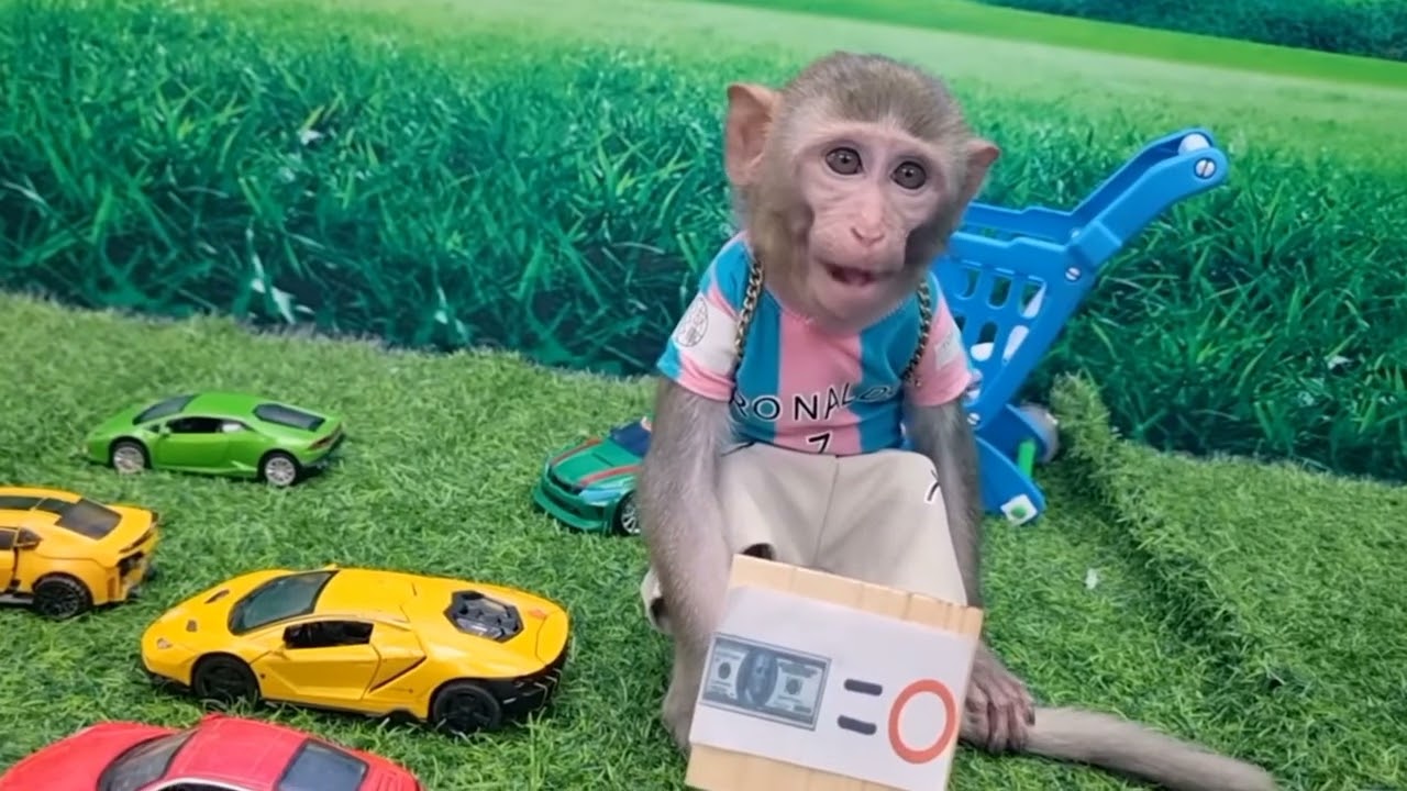 Funny Monkey And dog video HD 🐕 requestid by video box 🎁