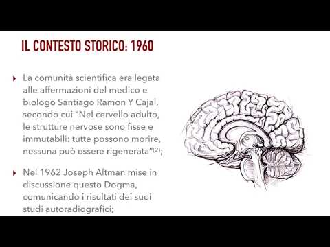 Neurogenesi: la prima ricerca che dimostra la nascita di nuovi neuroni nel topo adulto. J. Altman