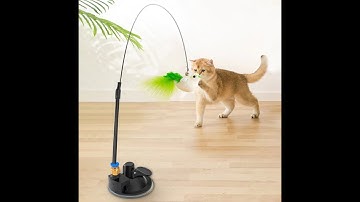 Interactive Cat Toy Funny Simulation Feather Bird with Bell || Review || Todayshoper ||