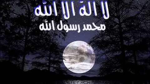 سورة النصر (الشيخ زكي داغستاني)(110) .
