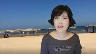 20210118-4【字幕】【美国快完了】【欧盟计划推翻美元霸权】【寒梅视角】