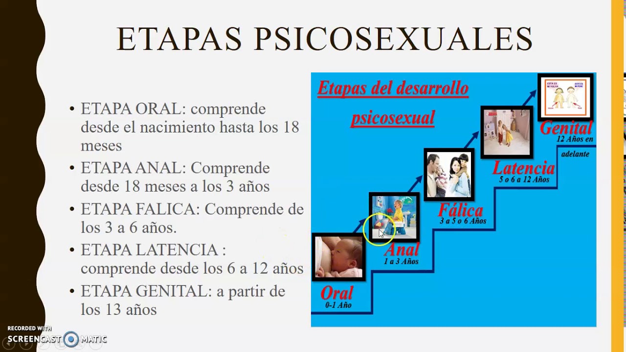 teoria de la personalidad YouTube