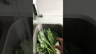 Cleaning Kale  #InANutshell