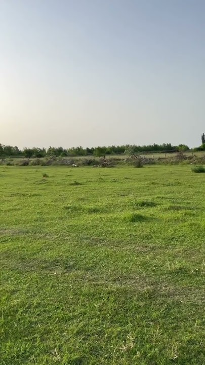 Стрельба из мр155, гранд патрон, 28 гр. дробь тройка. Дистанция метров ...