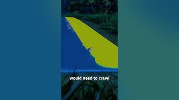 Can A Slug Make A Slip And Slide 🤔