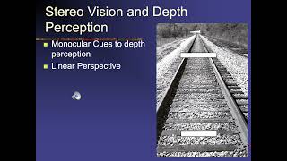 Unit 5b   Stereo Vision Size Perception